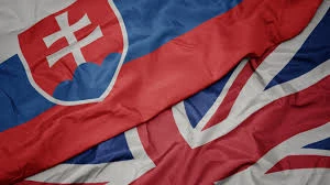 Profesionálne preklady SJ do AJ a AJ do SJ