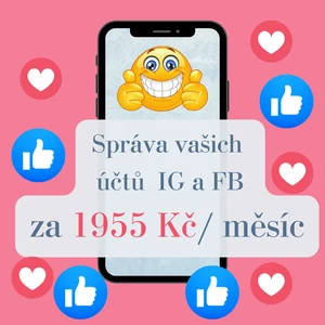 Za 1955 Kč vám během prvního měsíce poskytnu správu vašich účtů na IG a FB