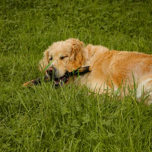 já udělám úprava fotek 5