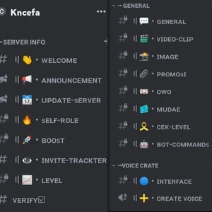 Ja spravím váš discord server