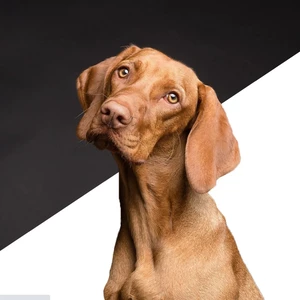 Odstranění pozadí na fotkách