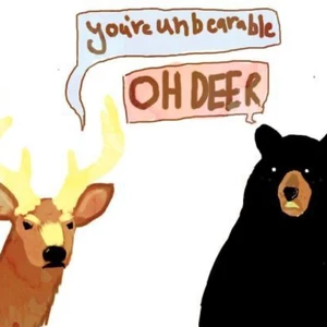 Expresní překlad textu z AJ do ČJ a naopak