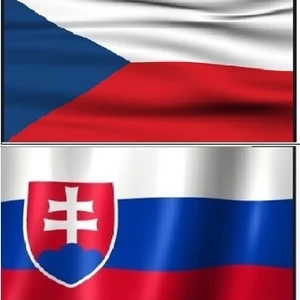 Preklad textu z českého do slovenského jazyka