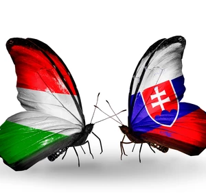 Prekladám zo slovenčiny do madarčiny 