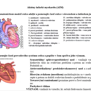OŠE ZKC ANAT Vypracované maturitné témy