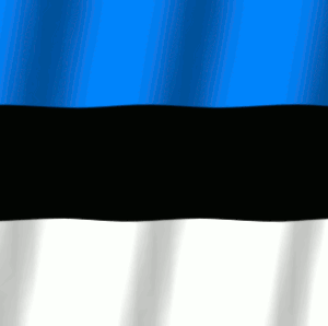 Rodený hovoriaci - spoľahlivé preklady a korektúry z/do estónčiny
