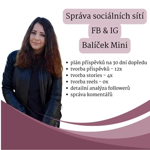 Správa účtů na sociálních sítí - balíček Mini