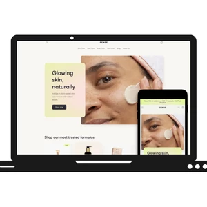 Ja spravím profesionálny e-shop cez Shopify