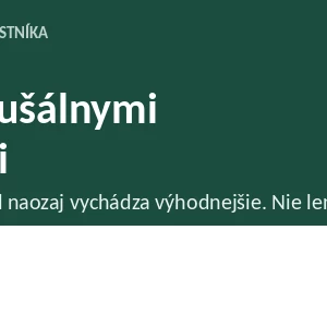 Daňové priznanie živnostníka typ B paušálne výdavky s kontrolou optimalizácie