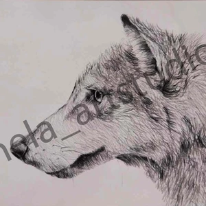 Kresba Vlka1