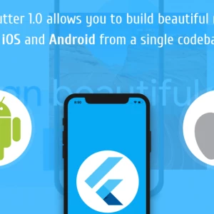 Já udělám hybridní mobilní aplikaci pro Android a iOS