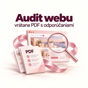 Audit webu vrátane PDF s odporúčaniami