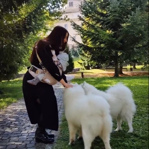 Video zostrih balík MINI
