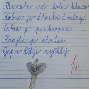 Jednoduchý i složitý přepis do elektronické podoby PDF, DOC