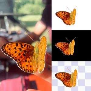 Ořez + vytvoření PNG