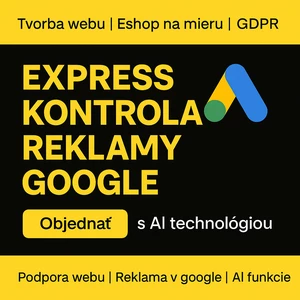 Kontrola Google Ads reklamy Express - audit kampane