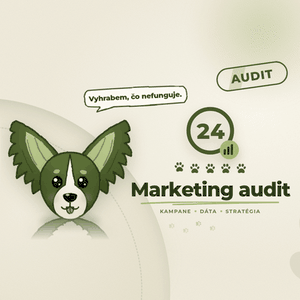 Marketingový audit kampaní a webu