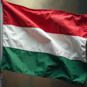 Preklady a korektúry textov z SK-CZ-ENG do HU