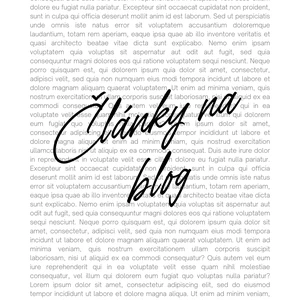 Článok na blog