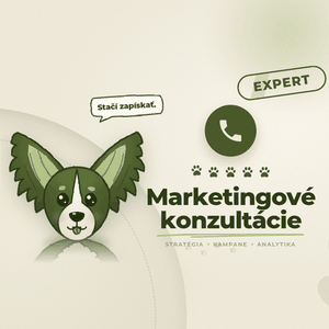 Marketingová konzultácia online