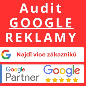 Audit Google reklamy
