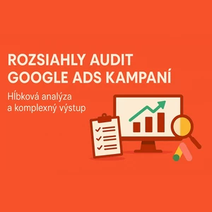 Rozsiahly audit Google Ads kampaní