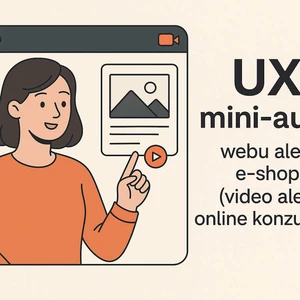 UX mini-audit webu alebo e-shopu - video alebo online konzultácia