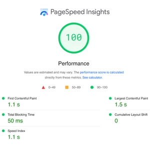 Zaručene zrýchlim vašu Wordpressovú stránku - Page Speed Insights skóre 90+