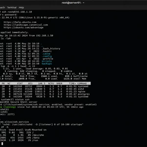 Správa inštalácia a zabezpečenie Linux VPS serverov