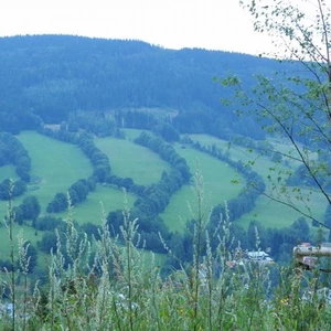 Vyhladam pozemky po predkoch a pomozem so zacatim dedicskeho konania