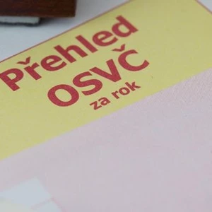 Přehledy na zdravotní a sociální pojištění