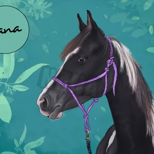 Ilustrácia 