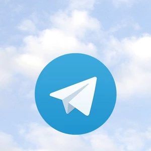 Telegram bot / Messenger bot/ Whatsapp bot