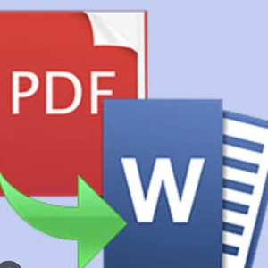 Prepis textu z PDF do Wordu