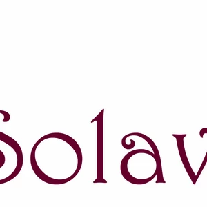 PROFESIONÁLNE LOGO a vektorizácia