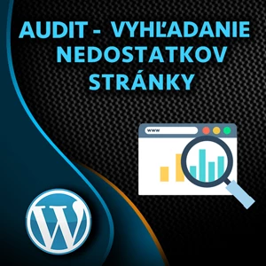 Všeobecný audit pre WordPress stránku
