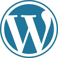 Profesionálna oprava a údržba stránky na WordPresse