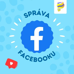 EFEKTIVNÍ SPRÁVA stránky na Facebooku - nechte to na mně