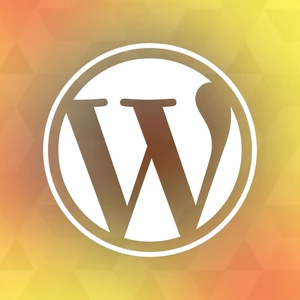 Profesionálna webstránka vo Wordpresse na mieru