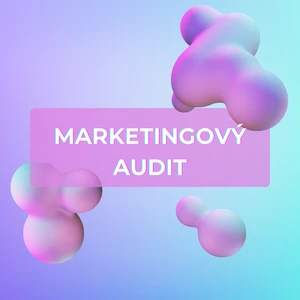 TOP Digitálny marketingový audit