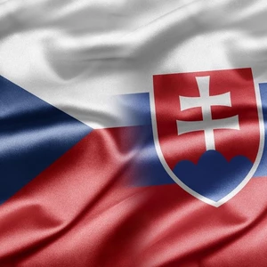 Ja spravím preklad eshopu a webstránok zo slovenčiny do češtiny aj opačne