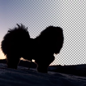 odstranění pozadí z fotky