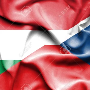 Já přeložím text z maďarštiny do češtiny