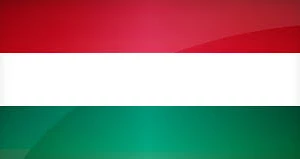 Já udelám profesionální překlad do a z maďarštiny