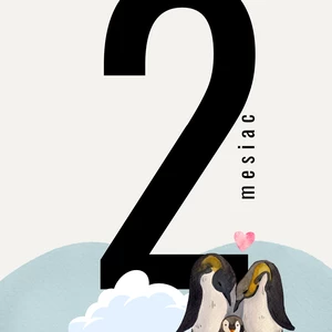 Míľnikové kartičky na fotenie