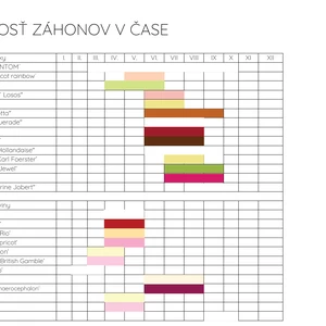 Celoročné trvalkové záhony s minimálnou údržbou