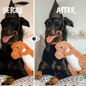 Úprava fotek od profíka – rychle a na míru