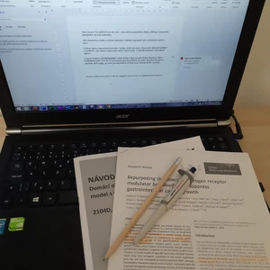 Jazyková korektura českého textu pro studenty - stylistika a základní typografie v ceně