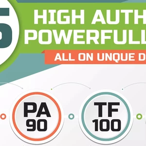 80 SEO zpětných odkazů z unikátních domén