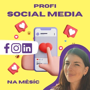 Profesionální správa vašich sociálních sítí na měsíc